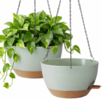 Plastic Hanging Basket With Drainage Saucer And Hanging Chain - Image 2
