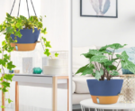 Large Plastic Hanging Basket With Water Level Indicator - Image 2
