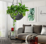 Plastic Hanging Basket Planter With Chain, Indoor/Outdoor Use - Image 2