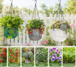 Self-Watering Hanging Basket, Three Colors Available, Includes Chain - Image 2