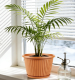 Set Of Modern Decorative Resin Planters With Trays And Drainage Holes