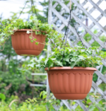 Hanging Planter With Drainage Saucer, For Balconies And Patios
