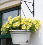 Two-Tone Hanging Planter Set, Includes Chain And Drainage Saucer