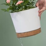 Set Of Self-Watering Decorative Plastic Planters In Three Colors - Image 2