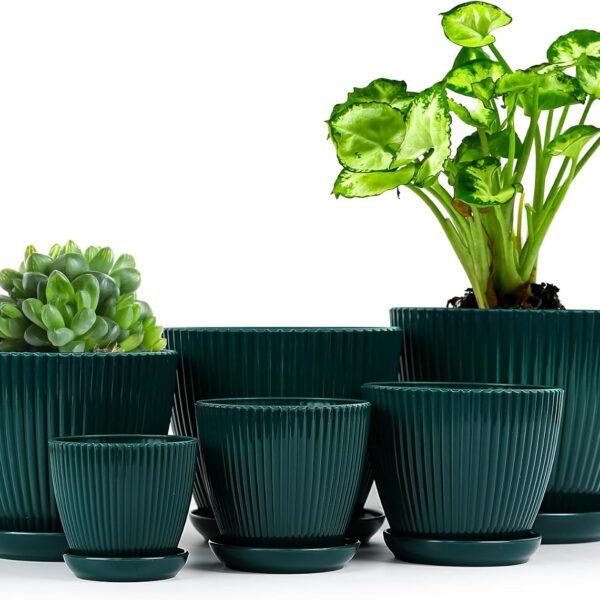 Mini Indoor Resin Planters With Trays And Drainage Holes