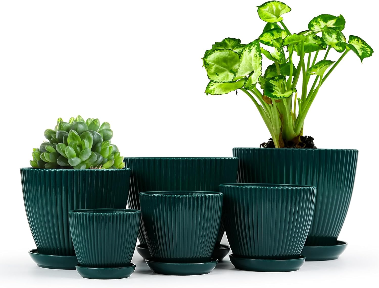 71beryG-ZeL._AC_SL1500_.jpg Mini Indoor Resin Planters With Trays And Drainage Holes - Image 1