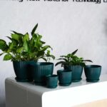 Mini Indoor Resin Planters With Trays And Drainage Holes - Image 2