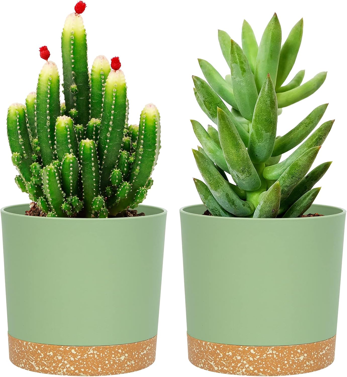 71wSQGMwEIL._AC_SL1500_.jpg Modern Home Decor Gardening Planters With Trays And Drainage Holes - Image 1