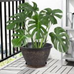 Large Vintage-Style Gold Embossed Planters With Trays And Drainage Holes - Image 2